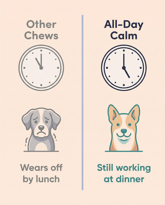 All-Day Calm Chews