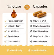 Comparison chart between tincture and capsules with respective advantages and disadvantages.